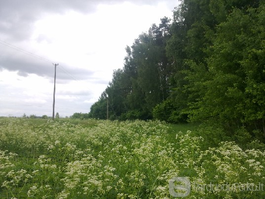 Parduodu 0,8 ha žemės sklypą Molėtų raj