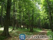 parduodu 9 ha miska netoli Vilniaus