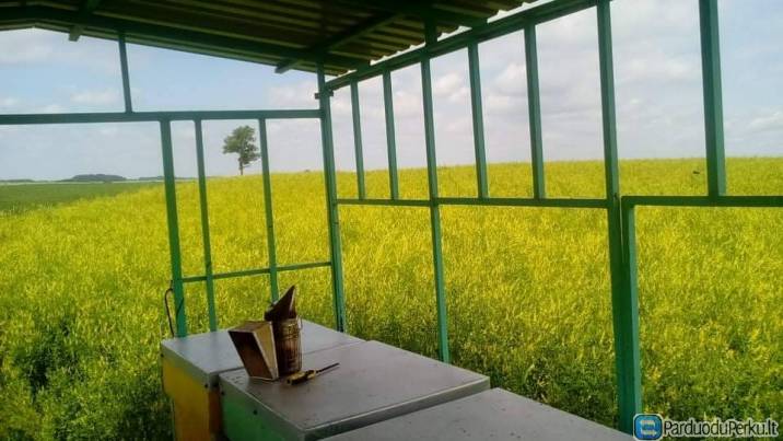 Parduodu barkūno sėklą (geltonžiedžio ir baltažiedžio mišinys)