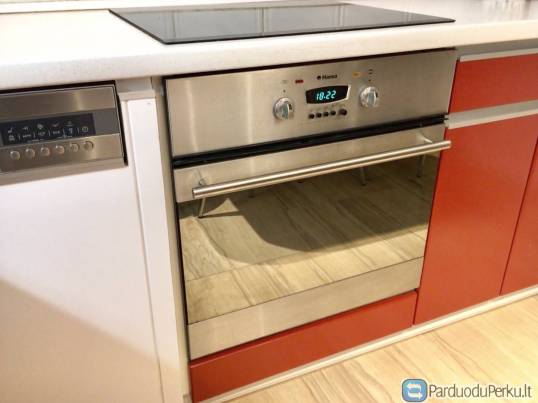 Dovanoju ELEKTRINĘ ORKAITĘ HANSA.