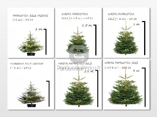 Parduodu kaledines eglutes su pristatymu i namus Vilniuje