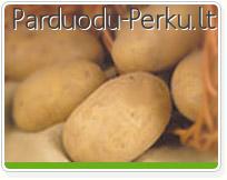 PARDUODU MAISTINES BULVES
