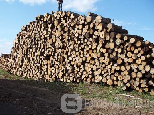 Parduodu malkas su pristatymu miškavežiu