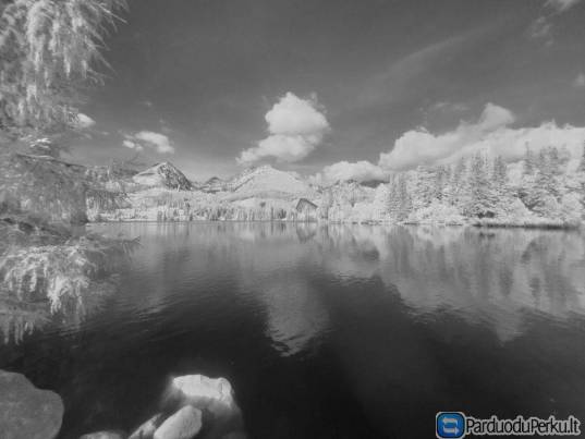 Samsung A52s 5G su pilno spektro kamera + kevlaro/anglies pluošto dėklas