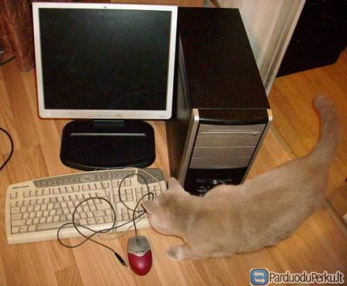 parduodu stacionaru kopmiuteri