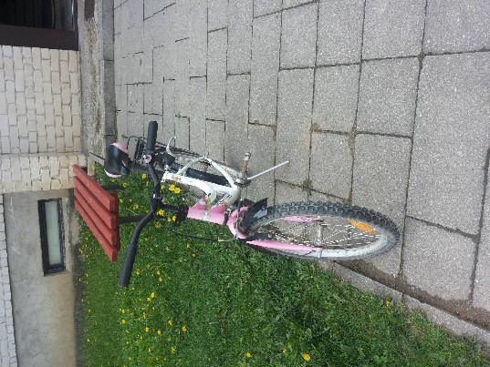 parduodu vaikiska dvirati