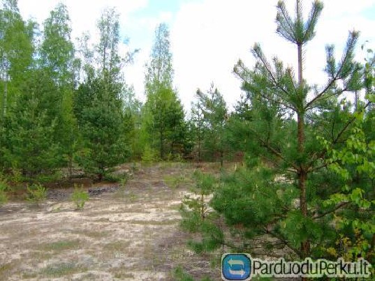 Parko formavimo darbai, Sklypo formavimo darbai