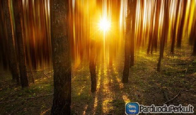 PASTOVIAI PERKAME MISKUS 865312978