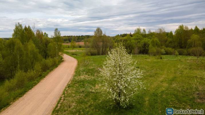 PATALPOS- PAMATAI VILNIAUS RAJ., DAUČIONIUKŲ K. NR. 541