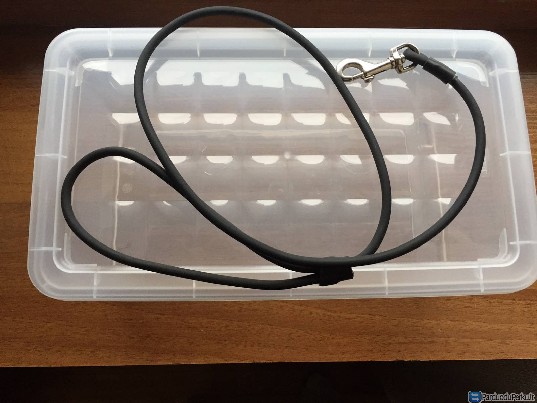 Pavadys / pavadėlis šuniui