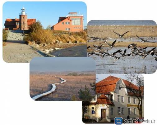 Pavasario klegesį pasitinkant - kelionė po Nemuno deltą