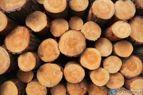 Pekame miškus visoje Lietuvoje