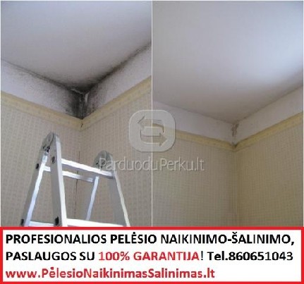 Pelesio naikinimo paslaugos