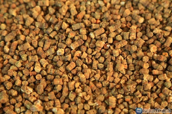 Perkame bičių duonelę ir pikį