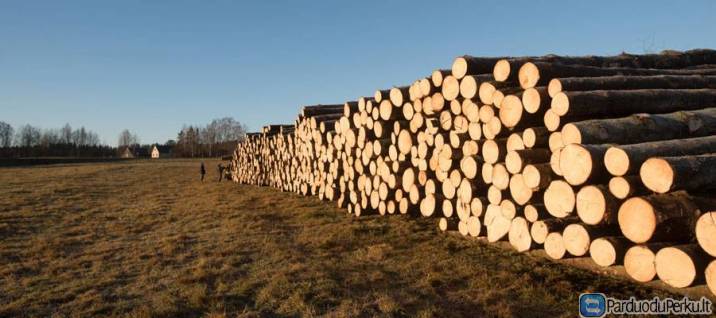 Perkame eglės plonrąsčius ir rąstus 3,6m ilgio +10cm užlaida