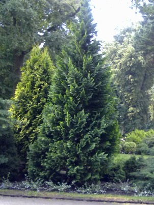 Perkame miskus tel.862011833 visoje Lietuvoje