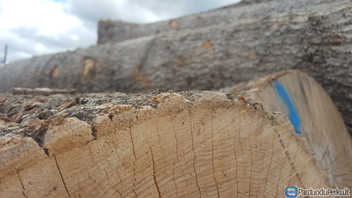 Perkame uosio rąstus