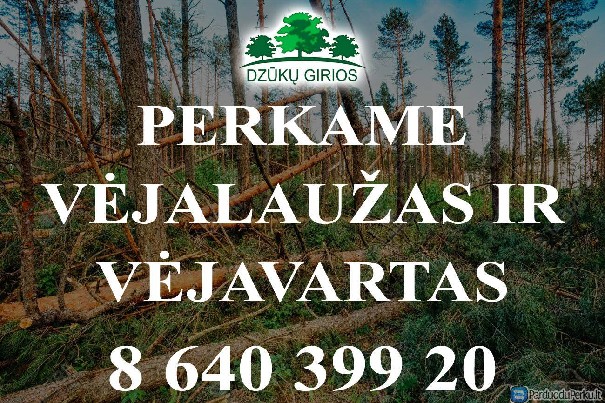 Perkame vėjalaužas ir vėjavartas.