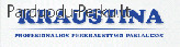 PERKRAUSTYMŲ PASLAUGOS