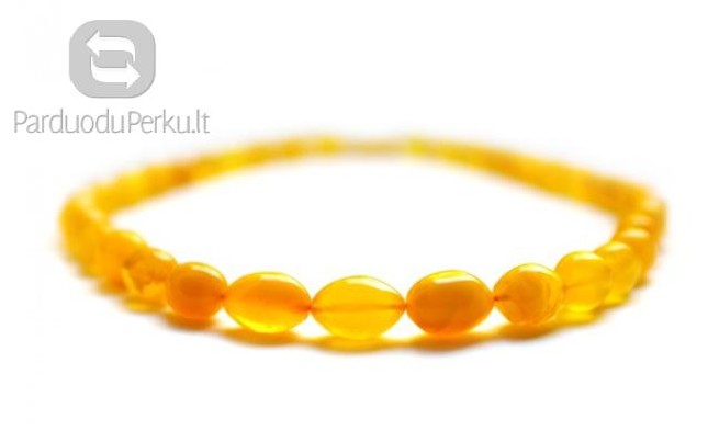 PERKU GINTARINIUS KAROLIUS