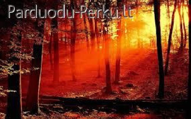 Perku MISKA  visoje Lietuvoje. Tel. 8-618-01173