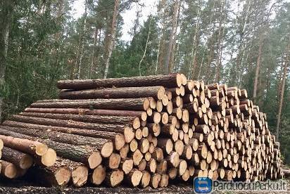 Perku statų mišką išsikirtimui