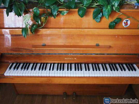 Pianinas RIGA