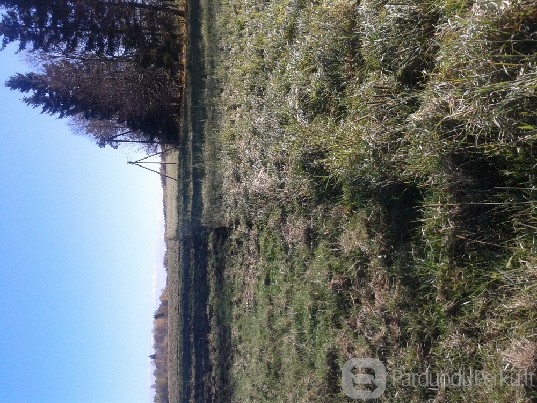 Pigūs sklypai 35km nuo Vilniaus