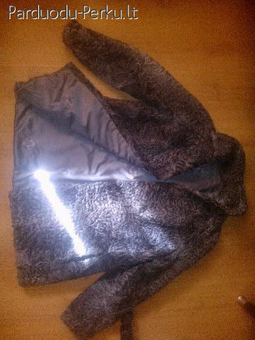 Pilki  karakuliniai puskailiniai