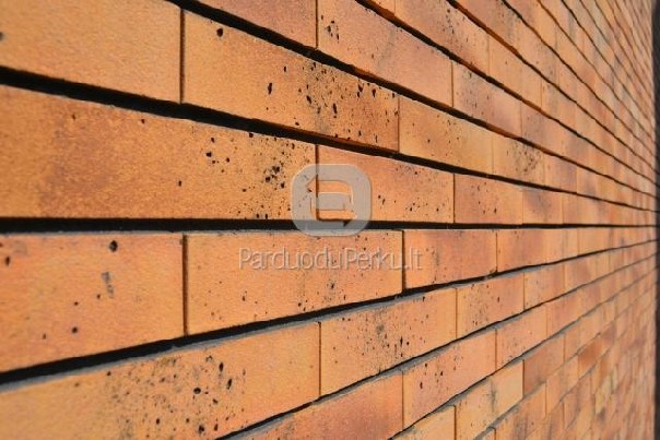 Plačiausias stogo dangų pasirinkimas