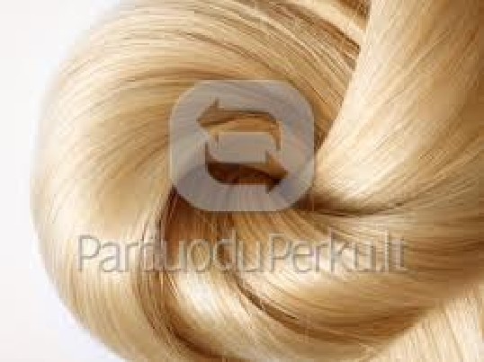 ! Plaukų priauginimo kursai tik 450 lt.