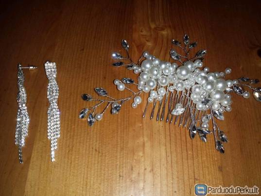 Plaukų segė ir auskarai