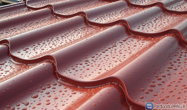 Plieninė čerpė 5,60 Eur/m2.