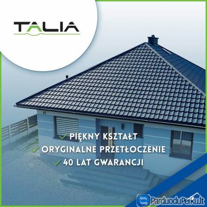 Plieninė stogo danga " TALIA"