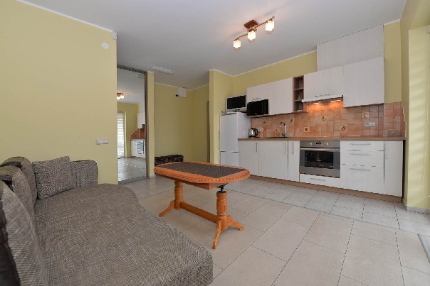 POILSIS DRUSKININKŲ SENAMIESTY PRIE VIJŪNĖLĖS EŽERO