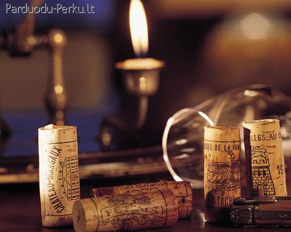 Pramogų skonis - Degustacijos, kelionės, renginiai