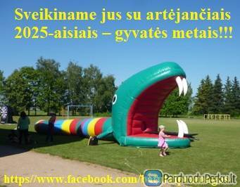 Pramogos žiemą, laisvalaikis, poilsis visiems.