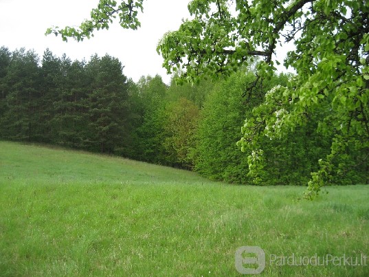 PIGIAI PRIE EZERO SKLYPAS NAMO STATYBAI