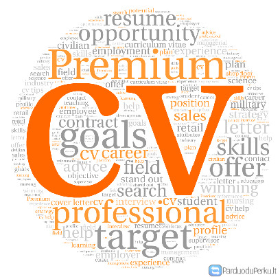 Profesionaliai ir greitai rašome CV