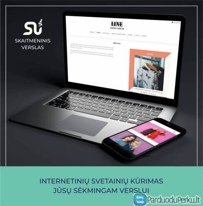 Profesionaliai kuriame interneto svetaines