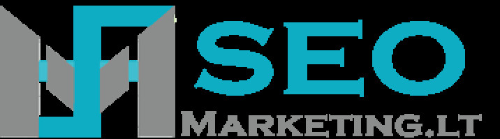 Profesionalios interneto svetainių optimizavimo seo paslaugo