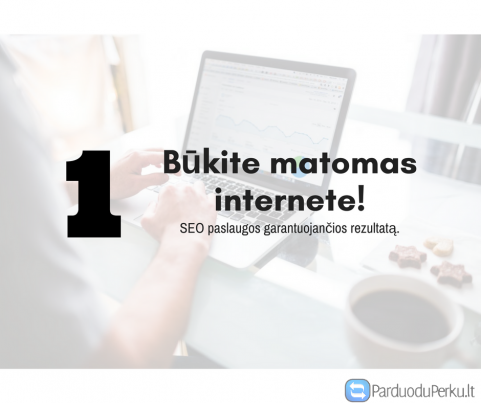 Profesionalios SEO paslaugos