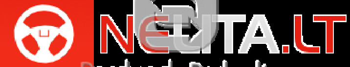 Profesionalus autoelektrikas