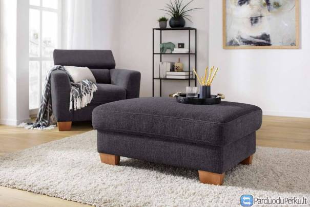 Pufas „ Steve “ su daiktadėže.