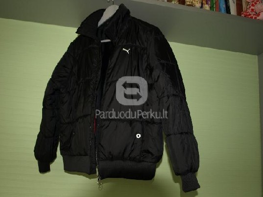 Puma sportinė striukė