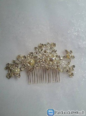 Puošni (vestuvinė) segė