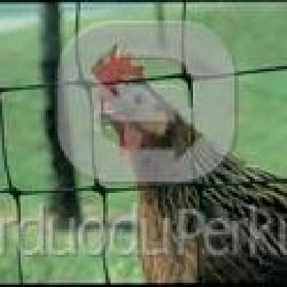 PVC pertvarų tinklai, tvoros