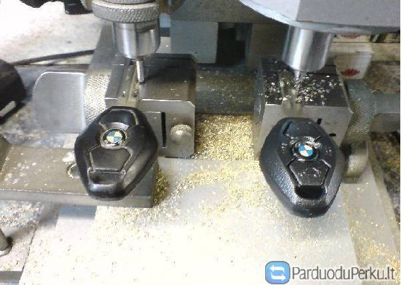 RAKTU GAMYBA, RAKTU SU IMOBILAIZERIU GAMYBA