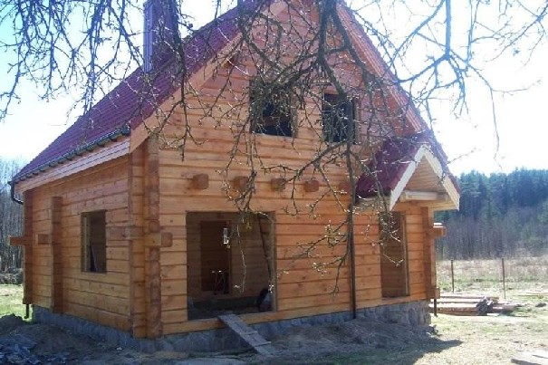 RĄSTINIAI NAMAI, VASARNAMIAI, PIRTYS