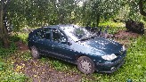 Renault Megane dalimis